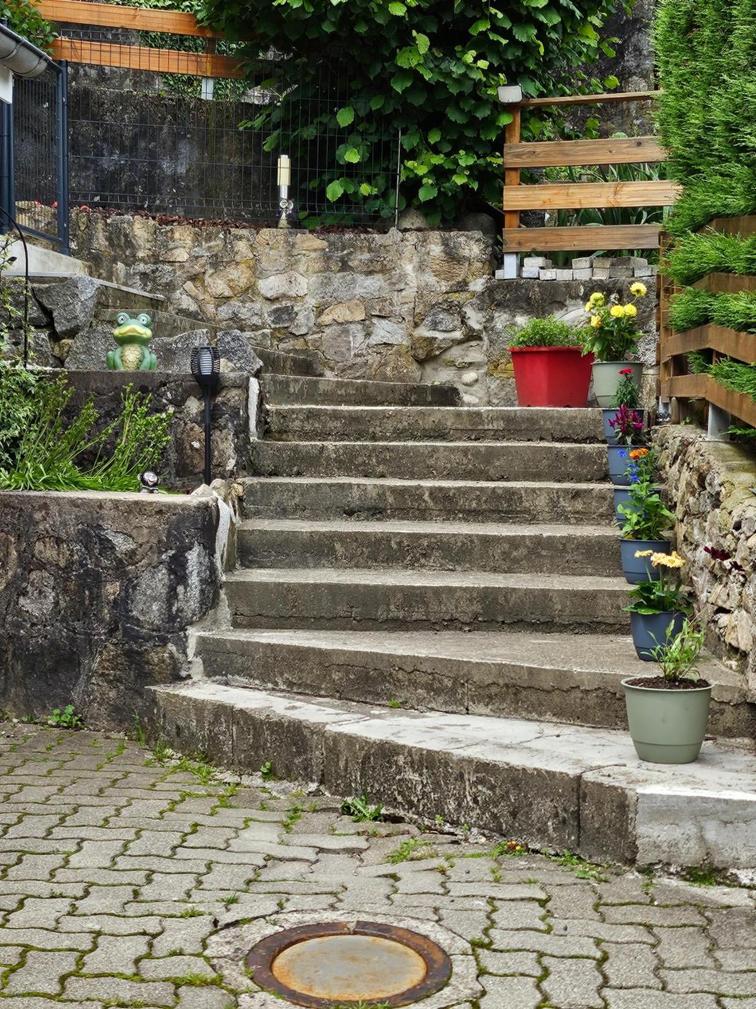Gite Vallee De Munster 3 Etoiles Chez Flavie & Ludo Muhlbach-sur-Munster Exterior photo
